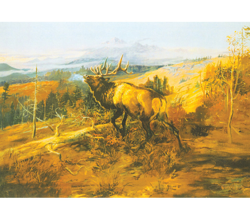 The Elk, 34'' H x 48'' W