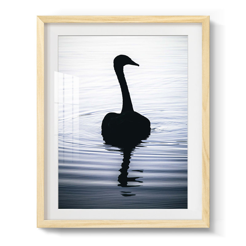 Sabio -Gallery Wrapped Canvas