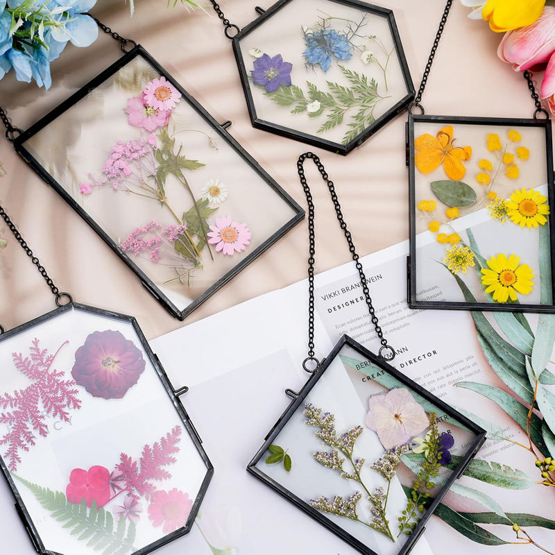 Cadre en verre 5 pièces pour bricolage fleurs pressées Art laiton Cadre photo suspendu avec chaîne et 6 styles de fleurs pressées Collage Artisanat en verre pour la décoration murale