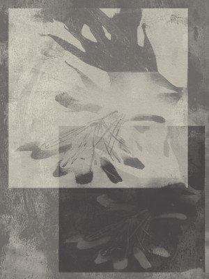 Wrapped Canvas Print, 76.2 cm H x 50.8 cm W