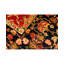 Oriental Area Rug