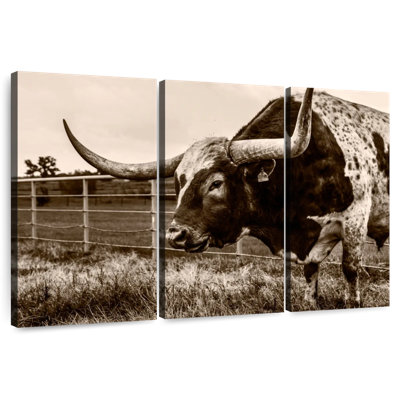 Sepia Longhorn