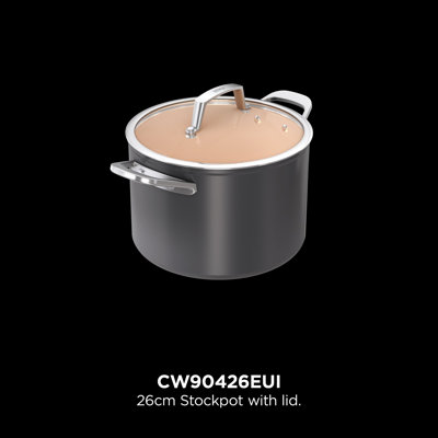 Ninja Non-Stick Stainless Steel Stock Pot