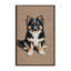  Tapis miniature lavable American Shepherd Dogs-2096483306