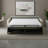 Adalise Italian 77" Genuine Top Grain Leather Queen Square Arm Pull Out Sleeper Sofa Bed with Memory Foam Mattress-87041320
