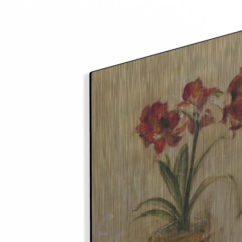 Art mural luxueux «Secret Amaryllis 2» par Cheri Blum, H 24 po x l 16 po