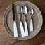 Icone 5 - Piece Stainless Steel Flatware Set - Service for 1-1099609464