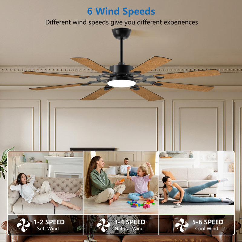 Grand ventilateur de plafond de 60 pouces avec télécommande à DEL 8 pales, 60 po de largeur