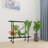 Sonsoles Plant Stand-852957544-852957463
