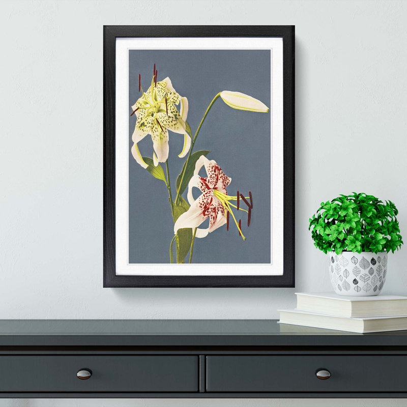 Lilies by Kazumasa Ogawa - Picture Frame Painting Print, Black Framed, 36cm H x 27cm W x 2cm D