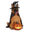 Statue lumineuse de chien pour Halloween, décoration citrouille sorcière en résine durable avec piles, 4 modèles