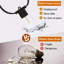 Amontae 3048cm 32 - Bulb Standard String Light (End to End Connectable)