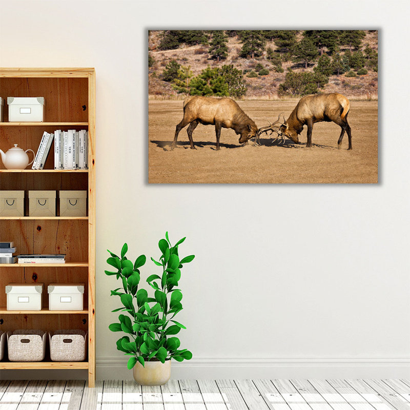 «Two Elks I», reproduction d'art sur toile, H 32 po x l 48 po