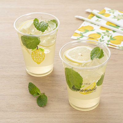 Restaurantware Plastic Cups 1000 Pack of 16 oz Clear Cold Drink Cups Durable Crack-Resistant Tapered Drinkware With Rolled Rim Festival and Outdoor Event Disposable