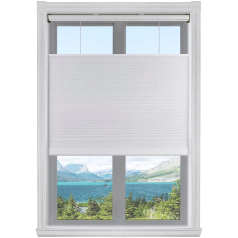 White Cordless Light Filtering Cellular Shade 40"W x 60"H