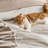 Bedsure Prewashed Bedding Set with Soft Fleece Microfiber Bed Blanket-110389575