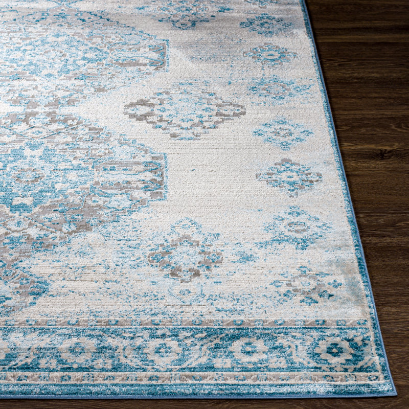 Juanisha Southwestern Indoor Rug, Rectangle 8'10" x 12'