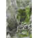 Premium Machine Washable Cerrito AMF503 Green Rug