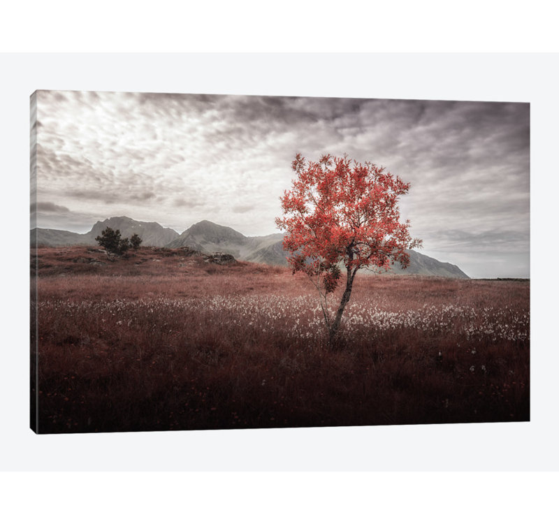 « rouille view », reproduction de photo sur toile, H 18 po x l 26 po x P 1,5 po, Toile tendue, Pas de tapis
