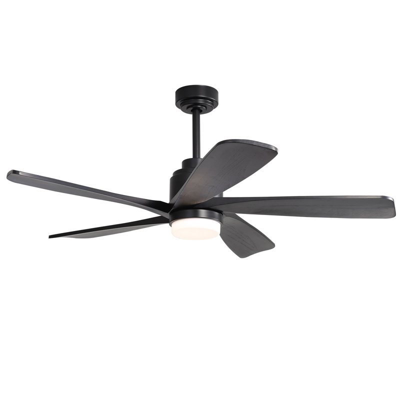 Damecia 52'' Ceiling Fan with LED Lights, Black
