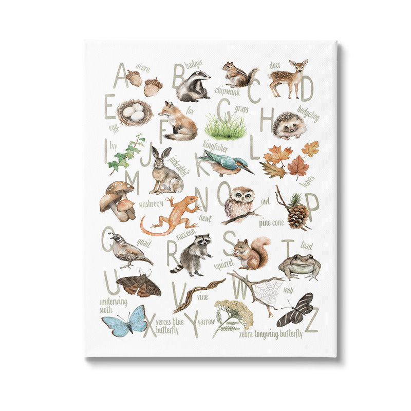"Woodland Nature Alphabet" par Ziwei Li sur toile, H 20 po x l 16 po