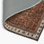 Tapis d'intérieur et d'extérieur brun Persian