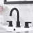 Widespread 2-handle Bathroom Faucet with Drain Assembly-70781162