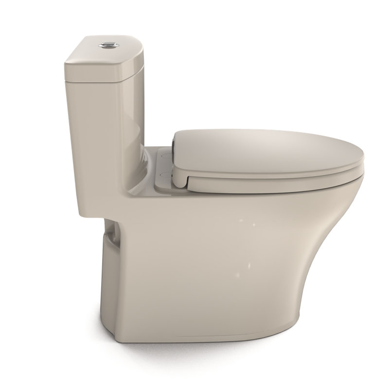 Aquia® Dual-Flush Elongated One-Piece Toilet with Tornado Flush (Seat Included)