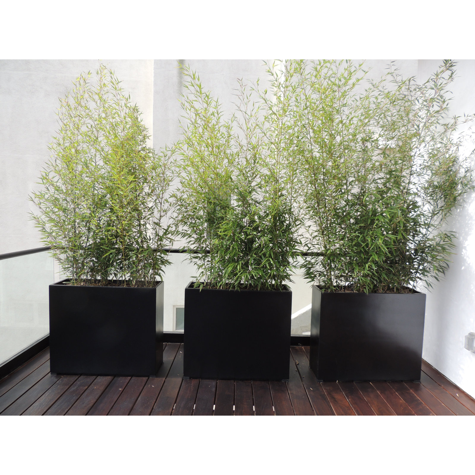 Pot Planter, 12" H x 12" W x 12" D, Black