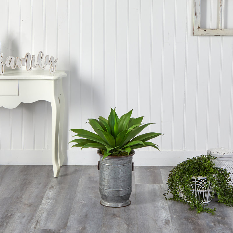 Plante grasse artificielle 26 po en pot