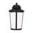 Portola Medium Lantern from Generation Lighting -116119603-116119600