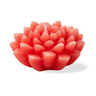  Bougie de cire de paraffine en forme de fleur Blossom