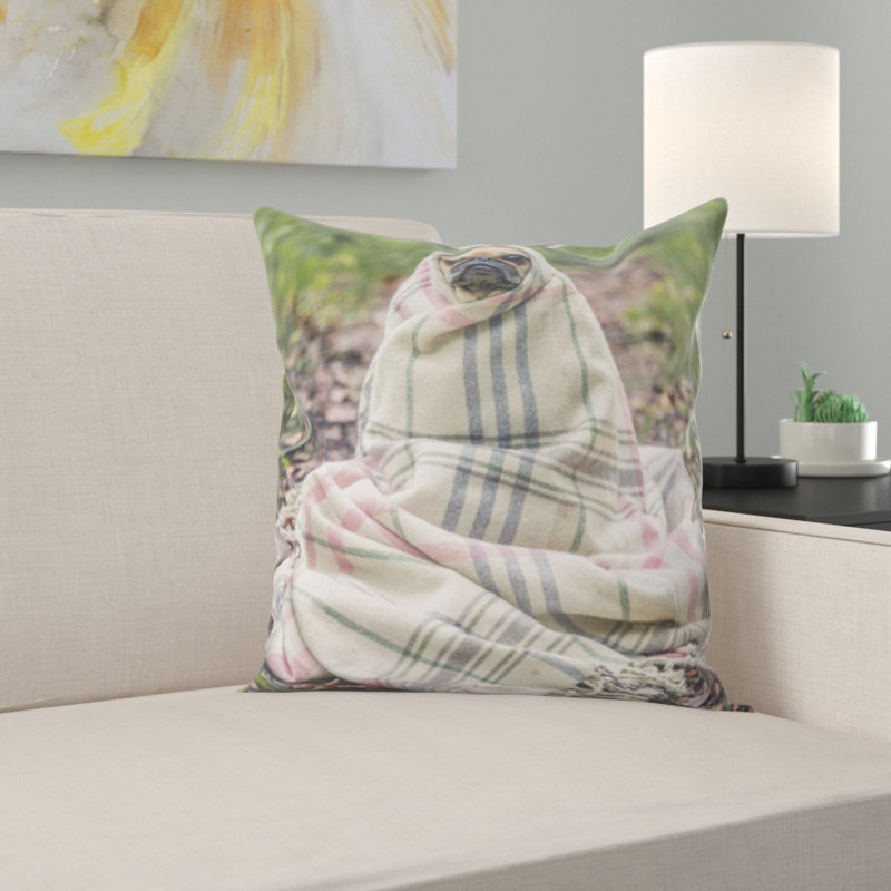 Coussin carlin