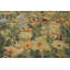 One-of-a-Kind Rectangle 9'x12' Area Rug