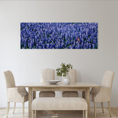 Bluebonnet, fleurs dans un champ, Hill County, Texas, États-Unis, art contemporain abstrait paysage mural floral