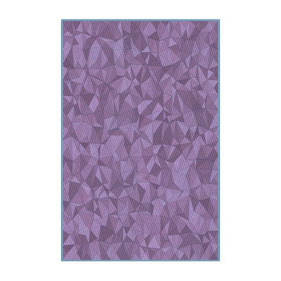 Indoor Rug