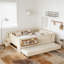 Bed with Built-in Bookshelves and Small Staircase-522426303-522426298