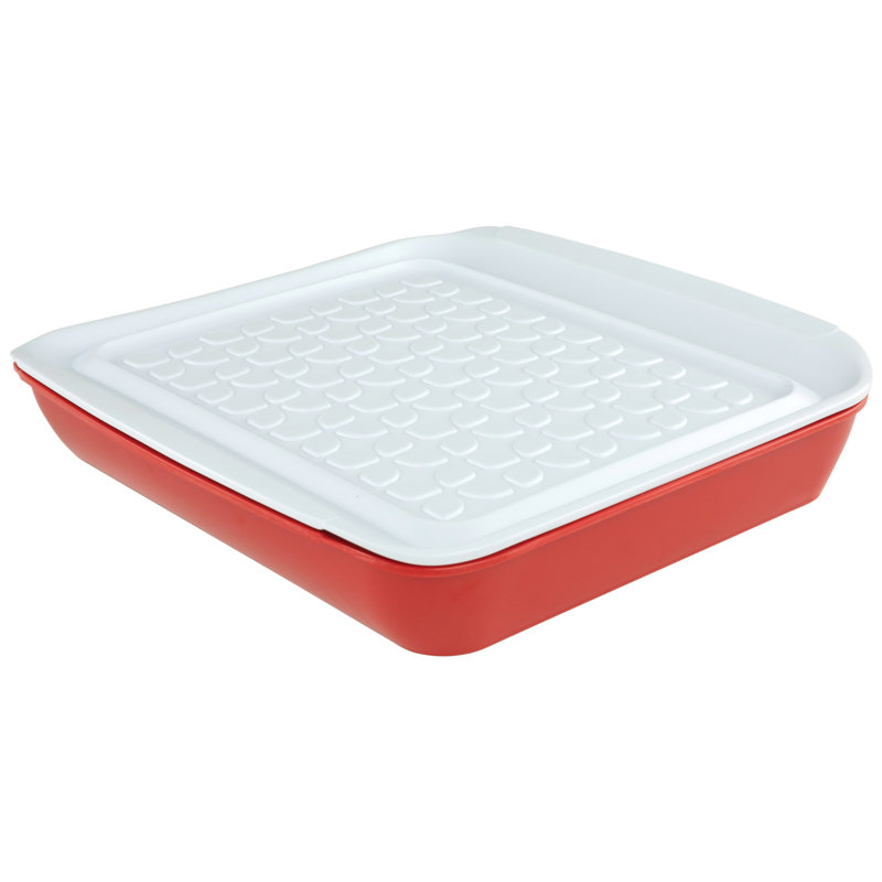 Marinade et plateaux pour barbecue Tovolo, L 10,50 po x L 10,50 po x H 2 po, Rouge / blanc