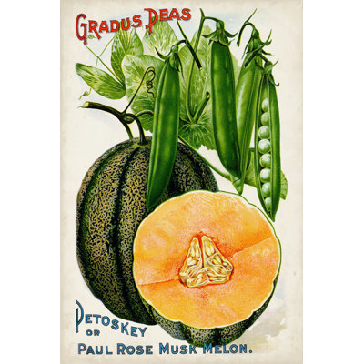 " Antique Seed Packets X "