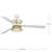 Bisbee 55'' Ceiling Fan with LED Lights-1479498103