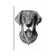 Labrador by Bioworkz - Wrapped Canvas Gallery-Wrapped Canvas Giclée