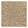 Animal Print Indoor Rug