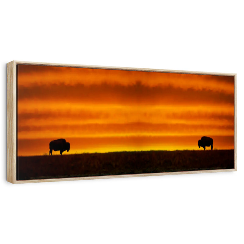 Lever de soleil sur les bisons, Cadre flottant en bois naturel, 28 po x 10 po