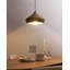 1 - Light Natural Single Pendant