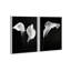 Calla Lily Set Set by Oliver Gal-715087360-715087362