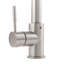 Apollo Pull Down Single Handle Kitchen Faucet with Side Spray and Accessories-1144738526