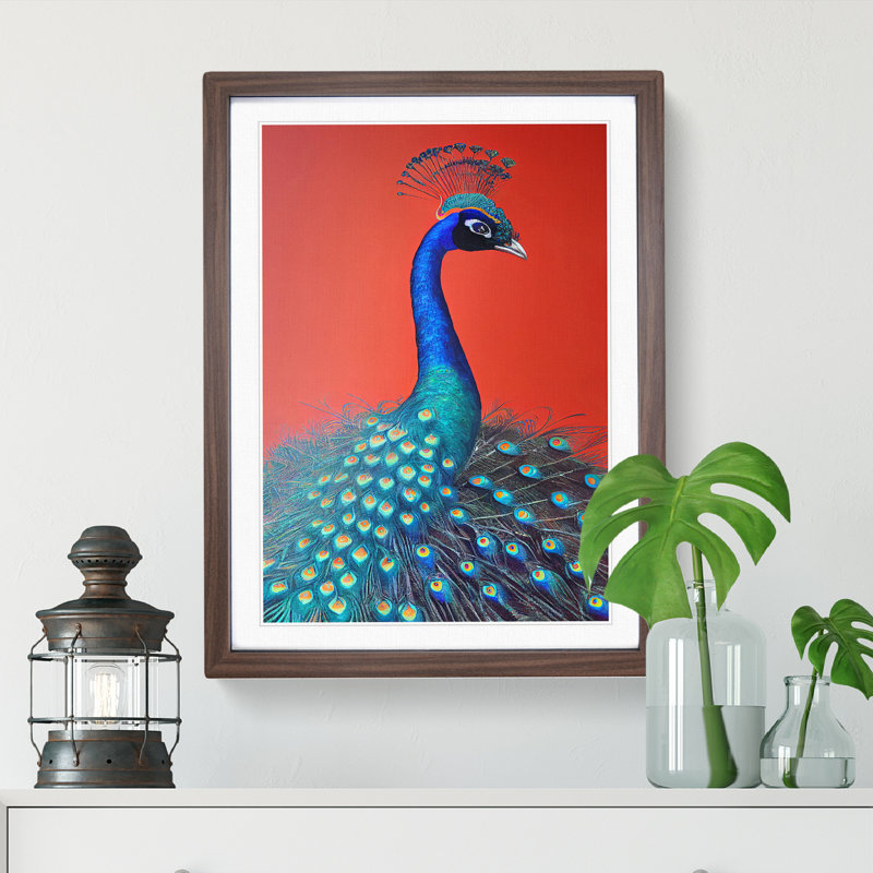 Extraordinary Peacock - Single Picture Frame Print, 46cm H x 34cm W x 2cm D, Walnut