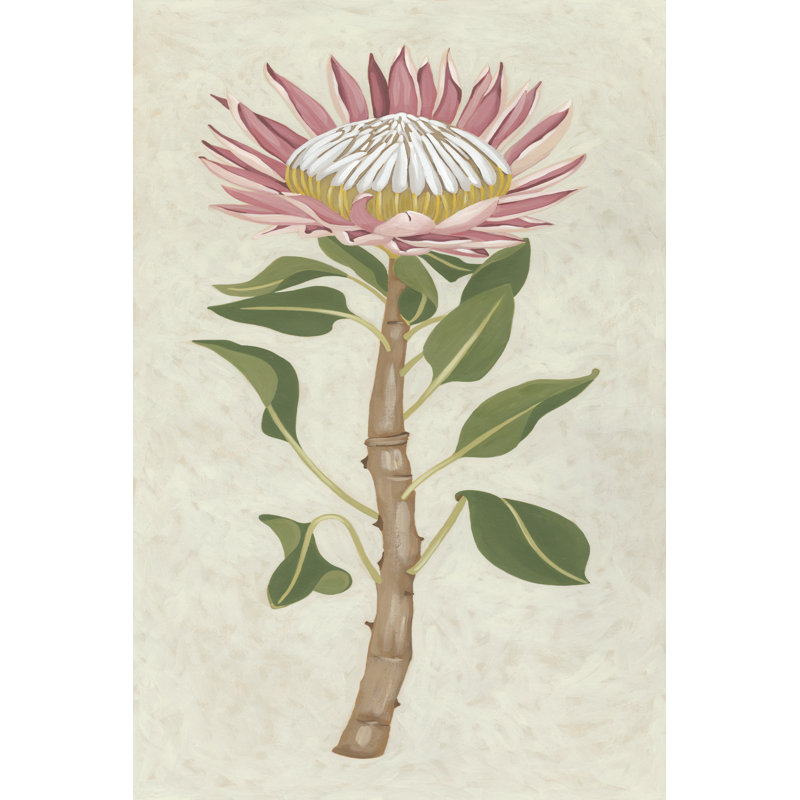 Protea I - Wrapped Canvas Print, 76cm H x 51cm W x 3.8cm D