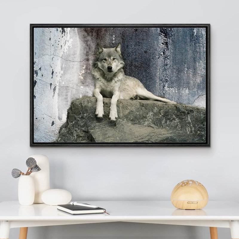 Animaux, loup couché sur un rocher sur toile, Cadre noir, H 16 po x l 24 po