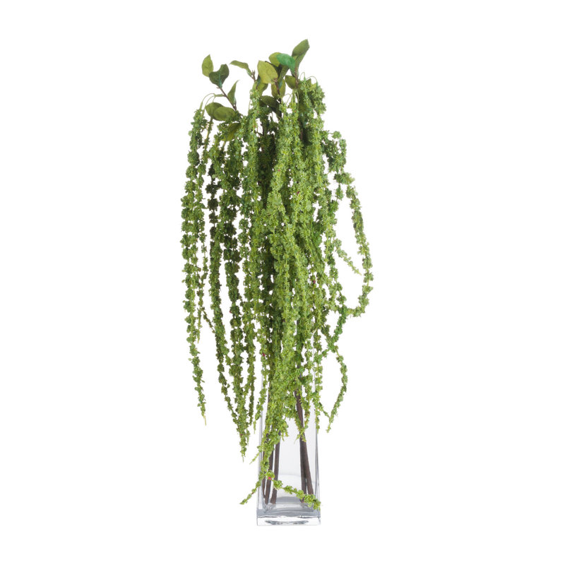 Anastasija Arrangement